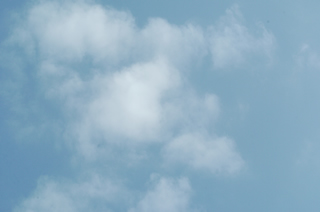 b0067598_20331884.jpg