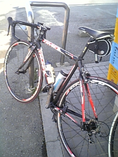 a0006100_1383328.jpg