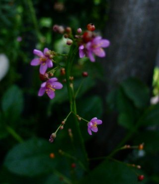 a0031000_1821980.jpg