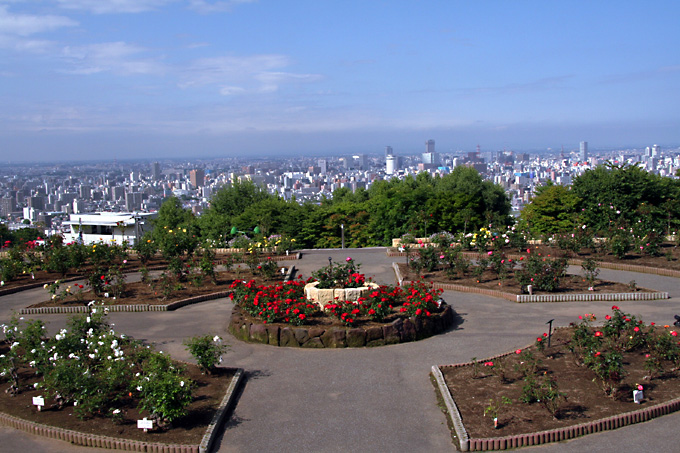 空に近いバラ園 ちざきバラ園 Fafaccioのhokkaido生活