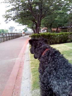 c0037701_0583294.jpg