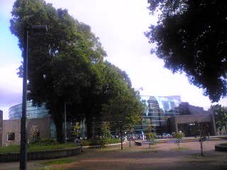 e0087901_11406.jpg