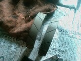 e0136503_1472671.jpg