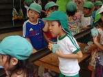 c0091507_133436100.jpg