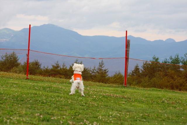 ２００９年夏の３泊４日旅行　３日目　飛騨高山～前編～_f0039907_1536272.jpg