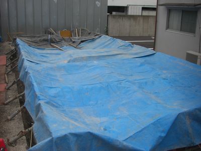 b0131012_9344868.jpg