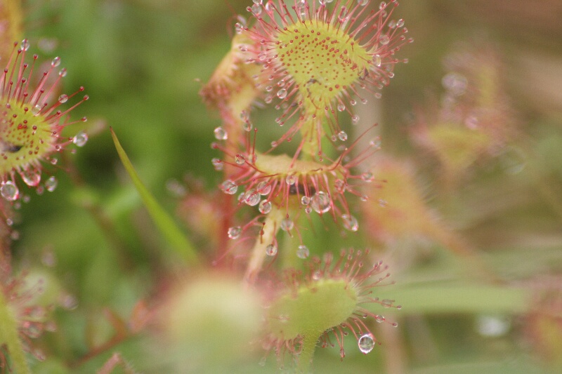 d0070814_17371769.jpg