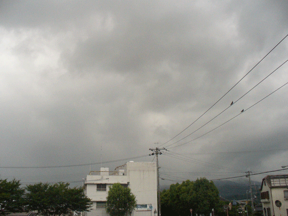 e0015915_19501648.gif