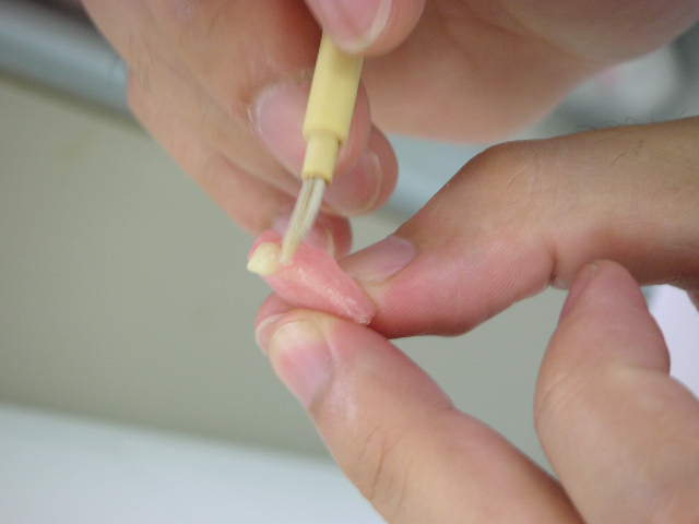 ミニデンチャー作成★_a0112220_19265920.jpg