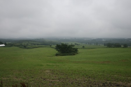 c0149120_7215753.jpg