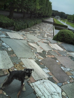 c0156021_2311949.jpg