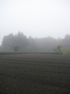 b0168823_23503560.jpg