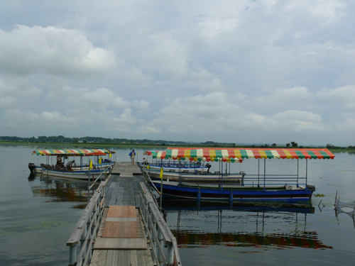 f0052323_13504662.jpg