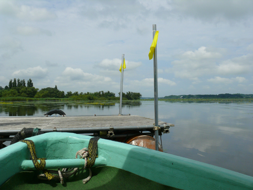 f0052323_135836.jpg