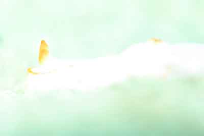 b0044726_1754572.jpg