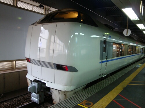 涼しさ、緑を受けて_f0037227_051752.jpg
