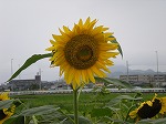 b0014732_10333919.jpg