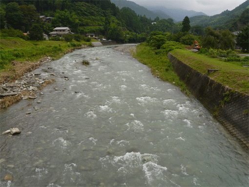 a0056140_1737042.gif