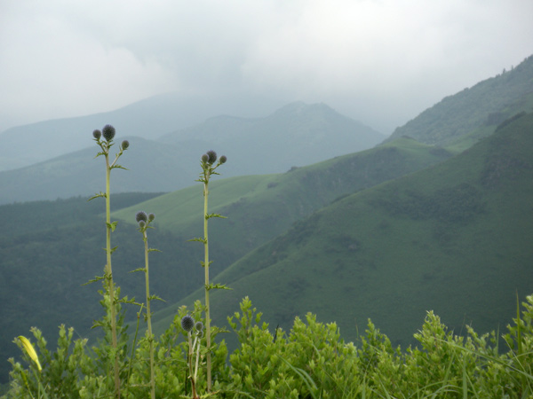 c0047341_6255254.jpg