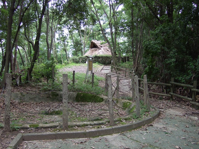 f0029441_13123268.jpg