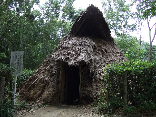 f0029441_1373125.jpg