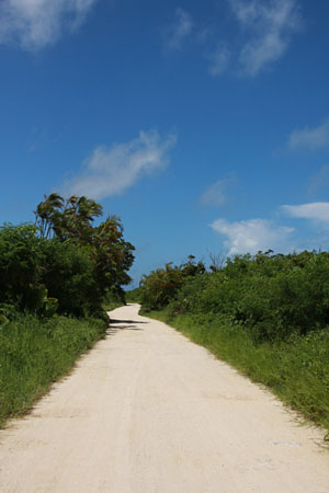 d0034352_214687.jpg