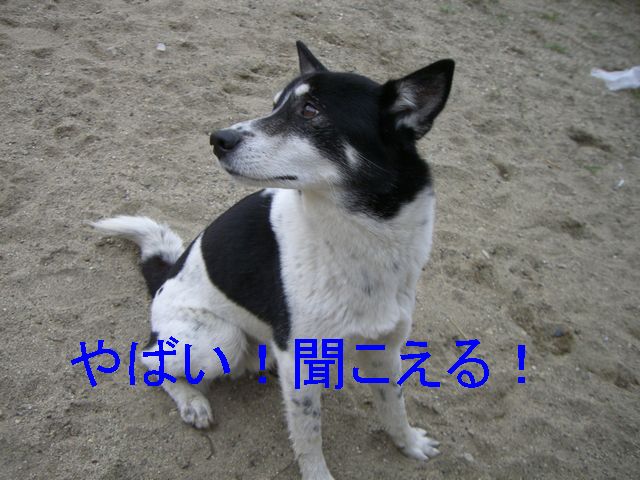 f0053952_12235254.jpg