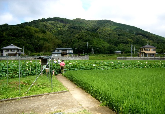 　　花のある風景_b0093754_23485786.jpg