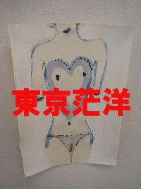 ■　金子佳代 個展 ”piece up picces ２”_a0078055_21422492.jpg