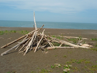 e0004756_21282053.jpg