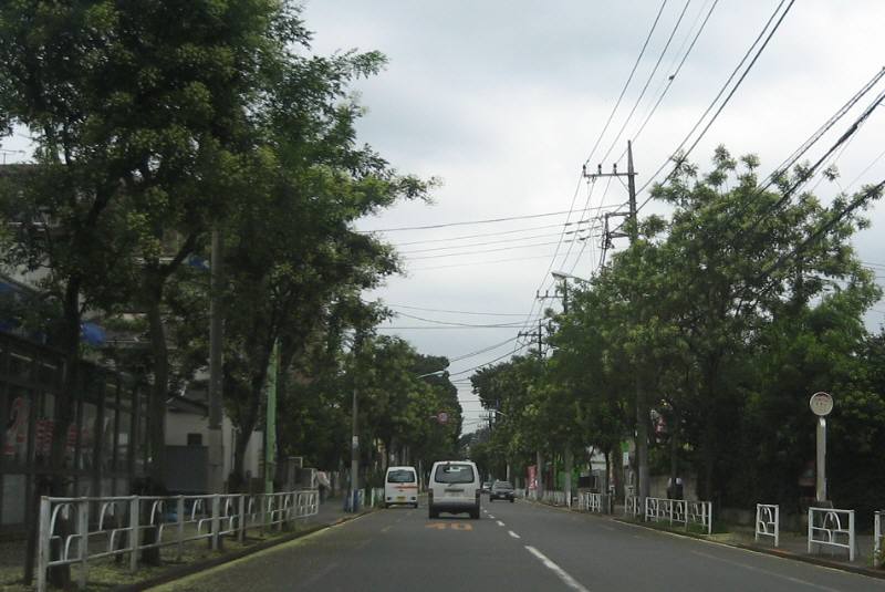 f0059673_8554451.jpg