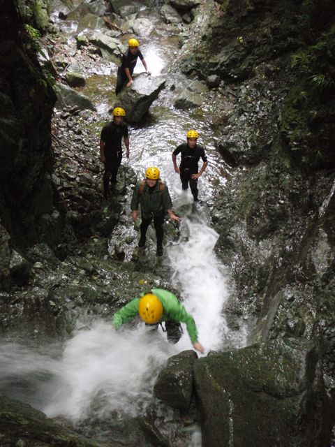 d0079579_58671.jpg