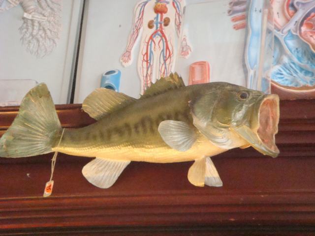 d0100880_942834.jpg