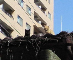 c0180885_08345.jpg