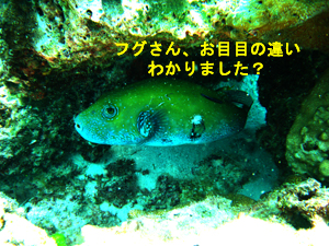 今日は酔ってません!ラチャノイ島です_f0144385_1921064.jpg