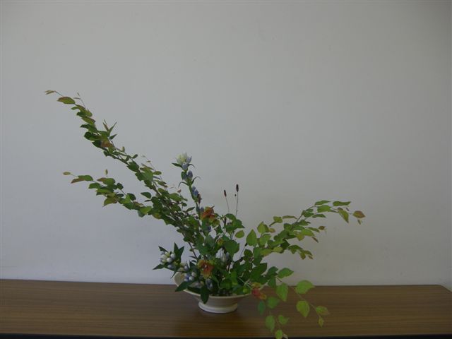 d0073487_14345738.jpg