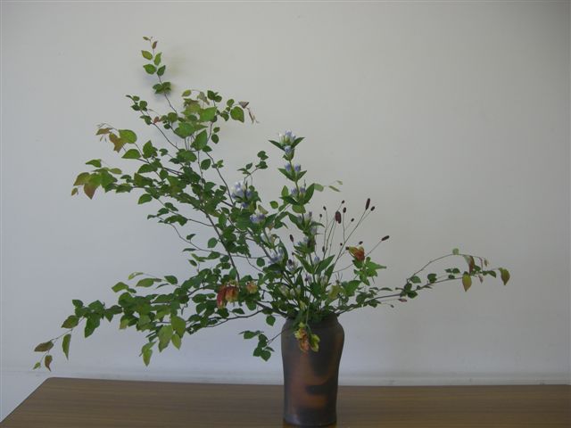 d0073487_14371451.jpg