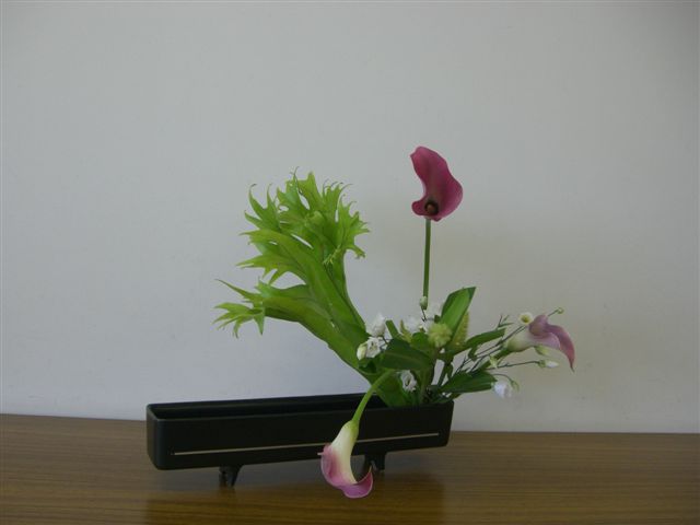d0073487_1442341.jpg