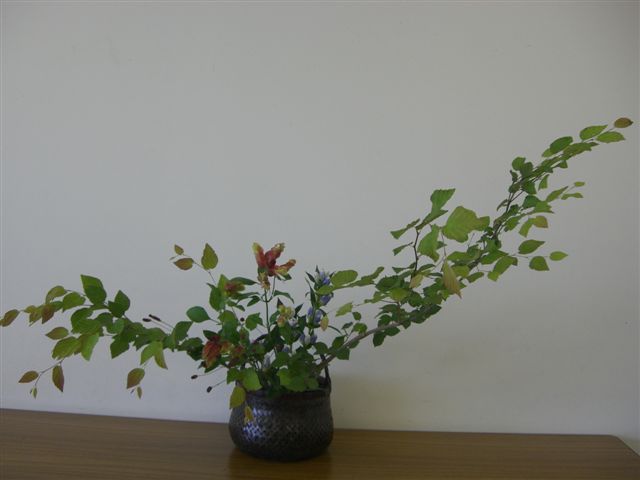 d0073487_1447361.jpg