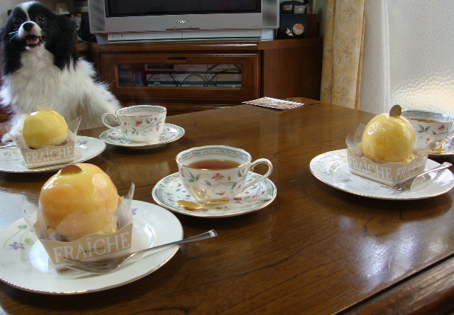 夏休み_a0126590_0545949.jpg