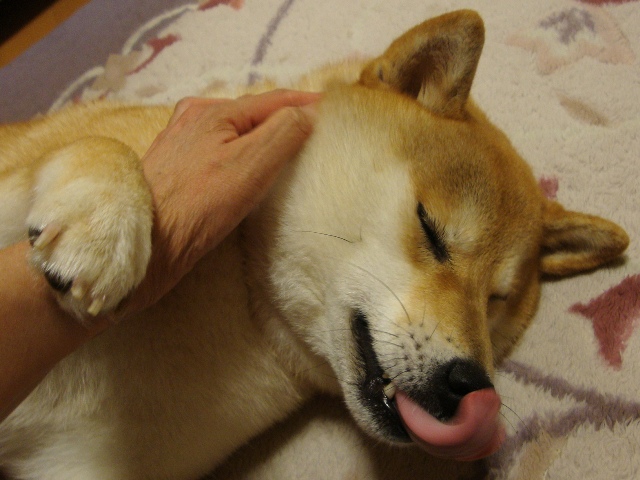夏休み_a0126590_0582518.jpg
