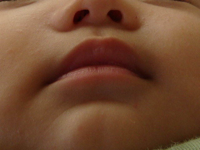 夏休み_a0126590_144187.jpg