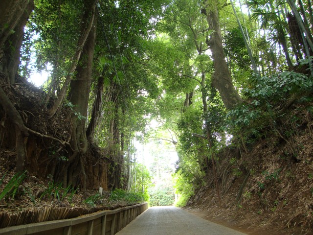 坂道_a0126590_23521492.jpg