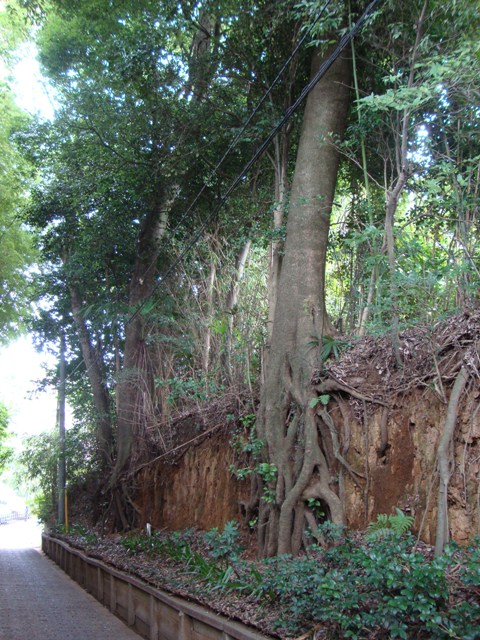 坂道_a0126590_23523010.jpg