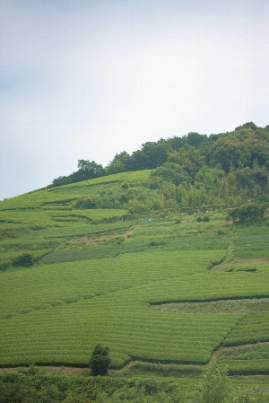 d0133693_21261853.jpg