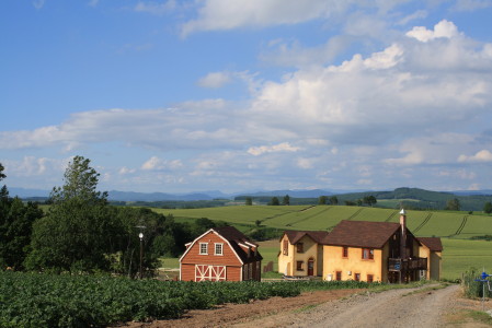 c0190900_729471.jpg