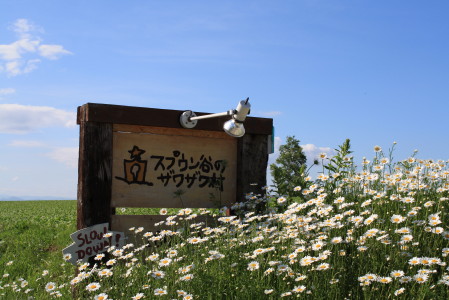 c0190900_7362612.jpg