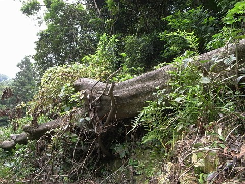 c0196900_21182842.jpg