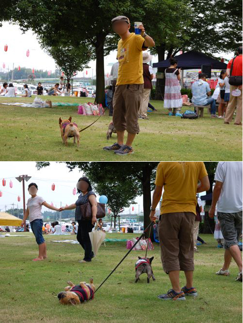 夏祭りへ出陣！_b0026701_12414152.jpg