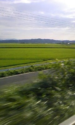 f0032403_17204529.jpg